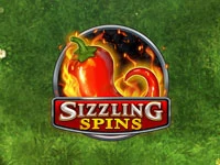 เกมสล็อต Sizzling Spins